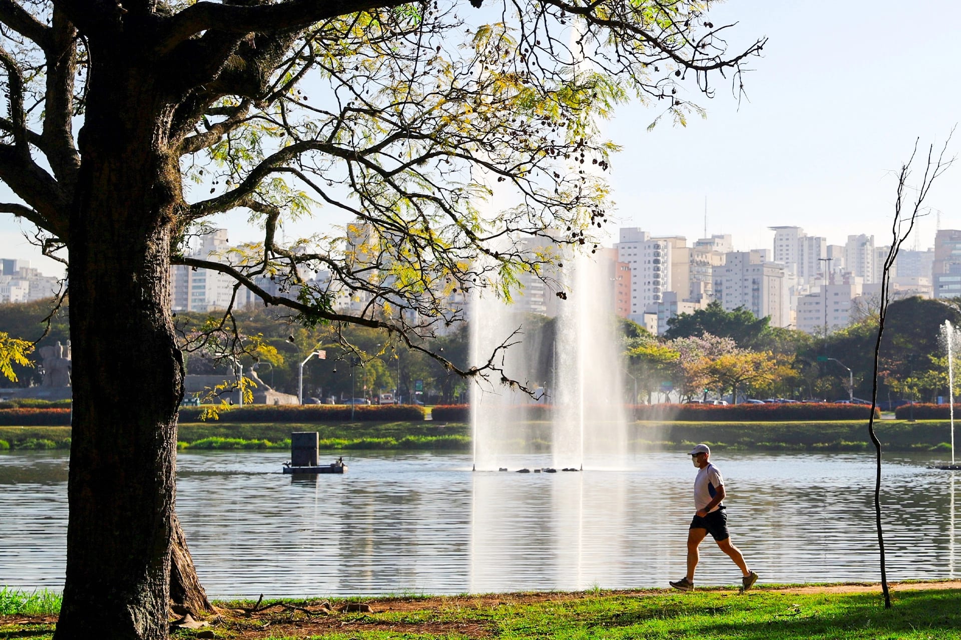 Ibirapuera Park in São Paulo